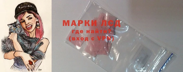 прущие грибы Армянск