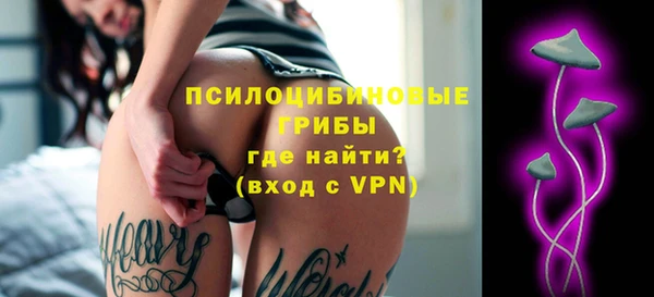 ГАЛЛЮЦИНОГЕННЫЕ ГРИБЫ Арсеньев