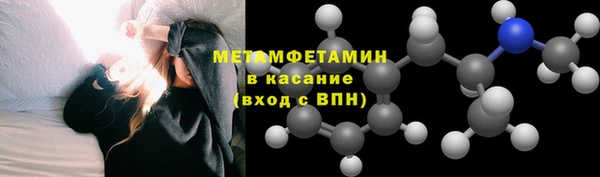 прущие грибы Армянск